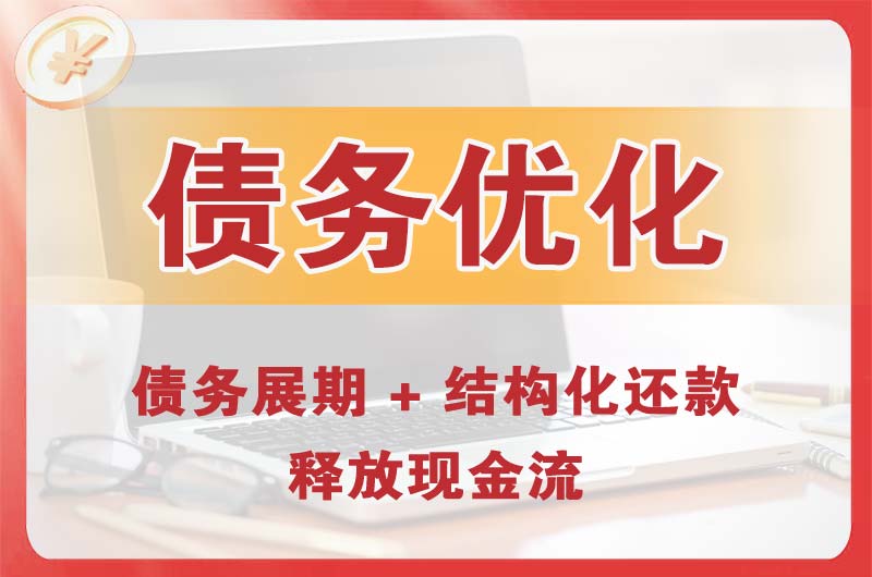 涞水债务优化
